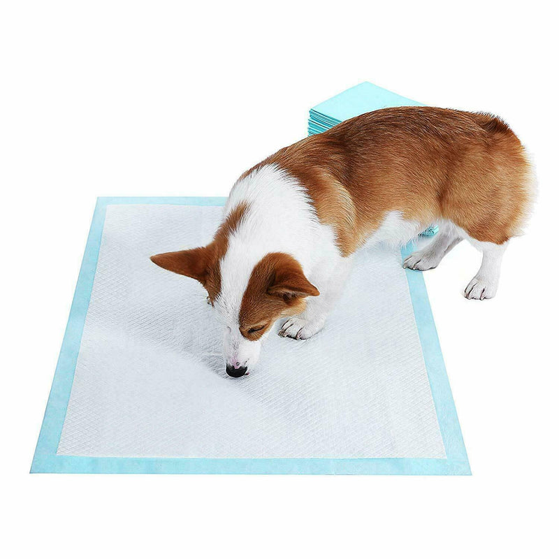 50/100/150/200 60X45CM LARGE PUPPY TRAINING PADS TOILET PEE WEE MATS PET CAT DOG