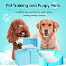 50/100/150/200 60X45CM LARGE PUPPY TRAINING PADS TOILET PEE WEE MATS PET CAT DOG