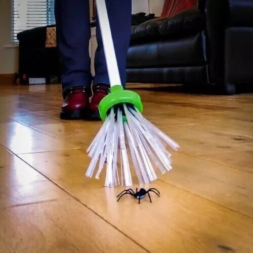 Spider_Catcher_Humane_04