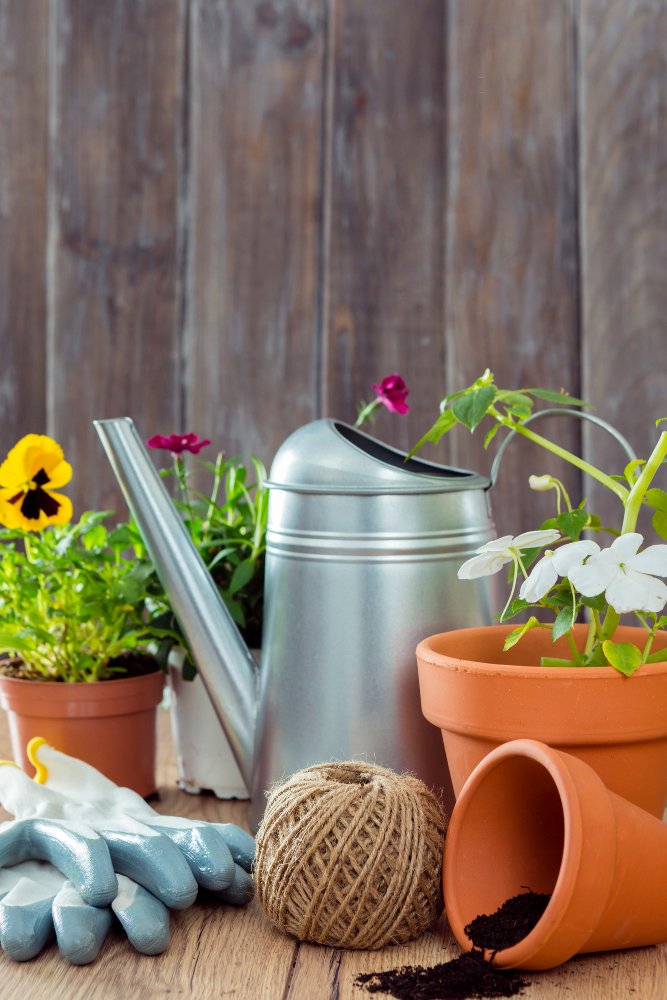 Gardening tools and potted plants