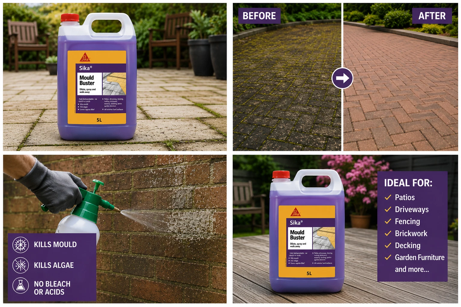 Sika Mould Buster 5L